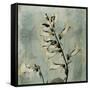 Sage Opus Foxglove-Albert Koetsier-Framed Stretched Canvas