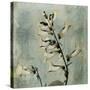 Sage Opus Foxglove-Albert Koetsier-Stretched Canvas