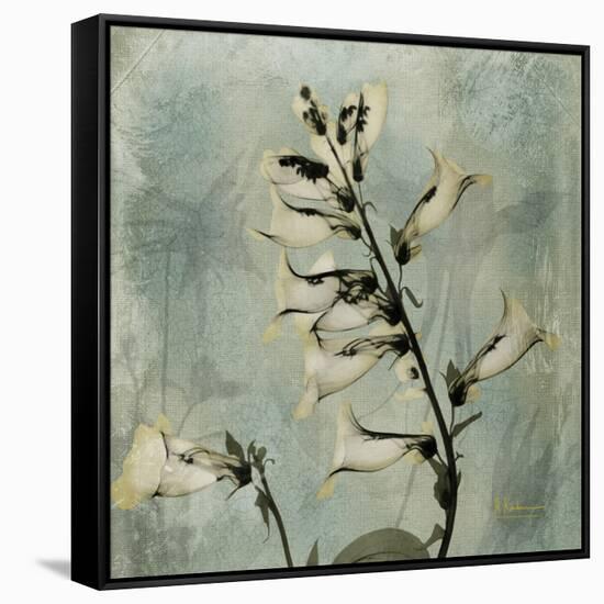 Sage Opus Foxglove-Albert Koetsier-Framed Stretched Canvas