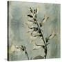 Sage Opus Foxglove-Albert Koetsier-Stretched Canvas