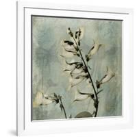 Sage Opus Foxglove-Albert Koetsier-Framed Art Print