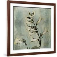 Sage Opus Foxglove-Albert Koetsier-Framed Art Print