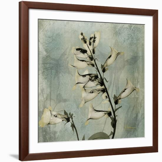 Sage Opus Foxglove-Albert Koetsier-Framed Art Print