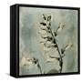 Sage Opus Foxglove-Albert Koetsier-Framed Stretched Canvas