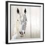 Sage-Marvin Pelkey-Framed Giclee Print