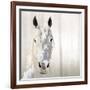 Sage-Marvin Pelkey-Framed Giclee Print