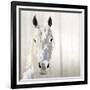 Sage-Marvin Pelkey-Framed Art Print