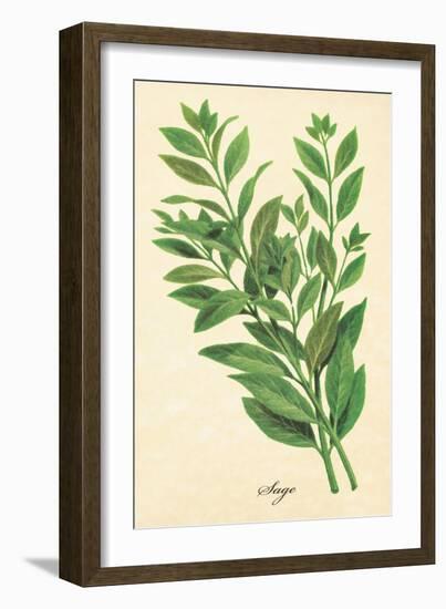 Sage-The Saturday Evening Post-Framed Giclee Print