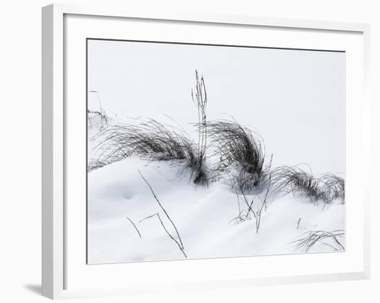 Sagebrush In Snowdrifts And Wind B&W-Anthony Paladino-Framed Giclee Print