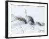 Sagebrush In Snowdrifts And Wind B&W-Anthony Paladino-Framed Giclee Print