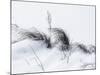 Sagebrush In Snowdrifts And Wind B&W-Anthony Paladino-Mounted Giclee Print