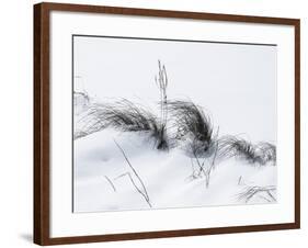 Sagebrush In Snowdrifts And Wind B&W-Anthony Paladino-Framed Giclee Print