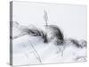 Sagebrush In Snowdrifts And Wind B&W-Anthony Paladino-Stretched Canvas