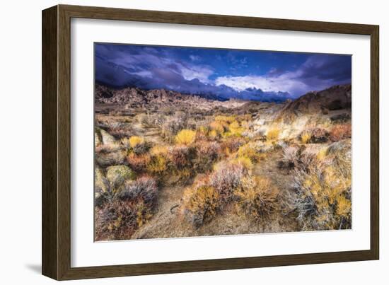 Sagebrush in the Alabama Hills under the Sierra Nevada Mountains, Owen's Valley, California, Usa-Russ Bishop-Framed Photographic Print