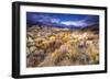 Sagebrush in the Alabama Hills under the Sierra Nevada Mountains, Owen's Valley, California, Usa-Russ Bishop-Framed Photographic Print