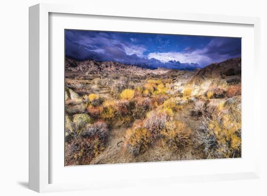 Sagebrush in the Alabama Hills under the Sierra Nevada Mountains, Owen's Valley, California, Usa-Russ Bishop-Framed Photographic Print