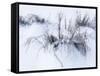 Sagebrush In Winters Snow And Wind B&W-Anthony Paladino-Framed Stretched Canvas