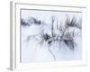 Sagebrush In Winters Snow And Wind B&W-Anthony Paladino-Framed Giclee Print