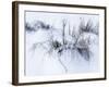 Sagebrush In Winters Snow And Wind B&W-Anthony Paladino-Framed Giclee Print