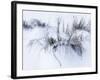 Sagebrush In Winters Snow And Wind B&W-Anthony Paladino-Framed Giclee Print