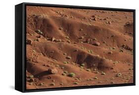 Sagebrush on Red Earth-DLILLC-Framed Stretched Canvas