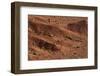 Sagebrush on Red Earth-DLILLC-Framed Photographic Print