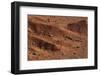 Sagebrush on Red Earth-DLILLC-Framed Photographic Print