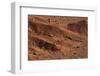 Sagebrush on Red Earth-DLILLC-Framed Photographic Print