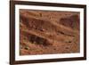 Sagebrush on Red Earth-DLILLC-Framed Photographic Print