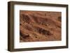 Sagebrush on Red Earth-DLILLC-Framed Photographic Print