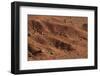 Sagebrush on Red Earth-DLILLC-Framed Photographic Print