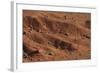 Sagebrush on Red Earth-DLILLC-Framed Photographic Print