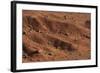 Sagebrush on Red Earth-DLILLC-Framed Photographic Print