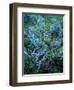 Sagebrush, Paintbrush, and Daisies, Sevier Plateau, Fishlake National Forest, Utah, USA-Scott T. Smith-Framed Photographic Print