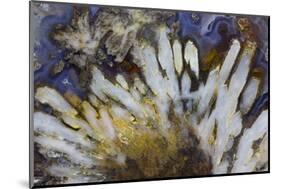 Sagenite Agate, Sammamish, Washington-Darrell Gulin-Mounted Photographic Print