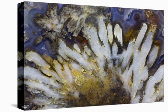 Sagenite Agate, Sammamish, Washington-Darrell Gulin-Stretched Canvas
