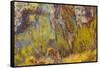 Sagenite on Mexican Agate-Darrell Gulin-Framed Stretched Canvas