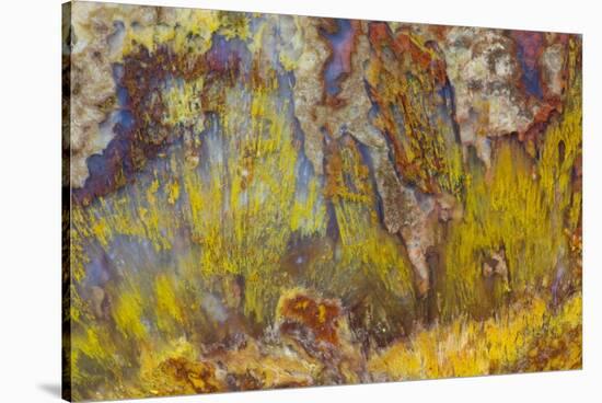 Sagenite on Mexican Agate-Darrell Gulin-Stretched Canvas