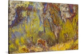 Sagenite on Mexican Agate-Darrell Gulin-Stretched Canvas