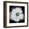 Sagittaria I-Irena Orlov-Framed Art Print