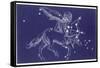 Sagittarius-Roberta Norton-Framed Stretched Canvas