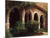 Sago Arches-Art Fronckowiak-Mounted Art Print