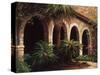 Sago Arches-Art Fronckowiak-Stretched Canvas