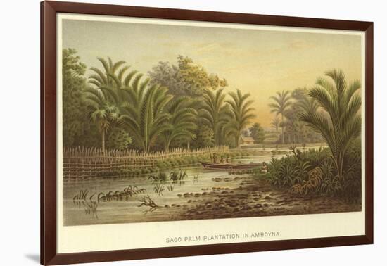 Sago Palm Plantation in Amboyna-null-Framed Giclee Print