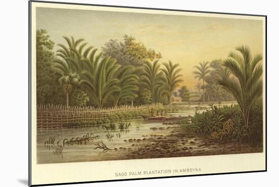 Sago Palm Plantation in Amboyna-null-Mounted Giclee Print