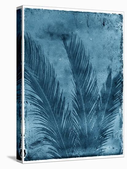 Sago Palm-John Kuss-Stretched Canvas