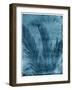 Sago Palm-John Kuss-Framed Giclee Print