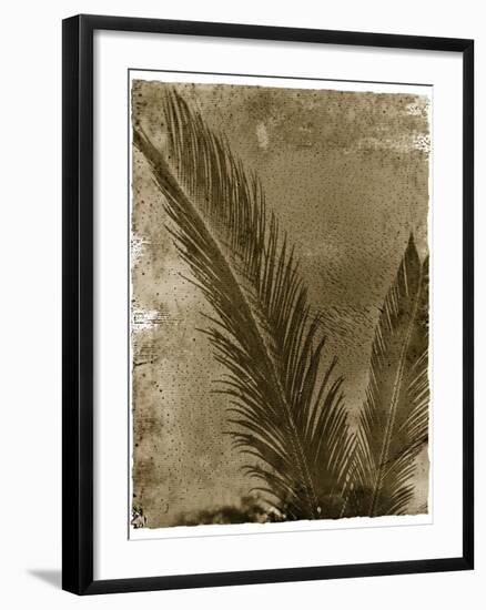 Sago Palm-John Kuss-Framed Giclee Print