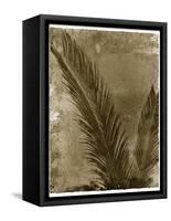Sago Palm-John Kuss-Framed Stretched Canvas