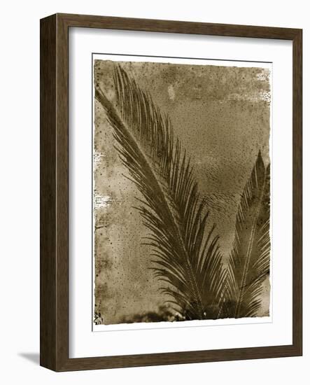 Sago Palm-John Kuss-Framed Giclee Print